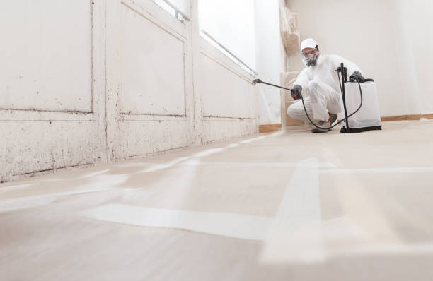 Post-remediation clearance in Edison